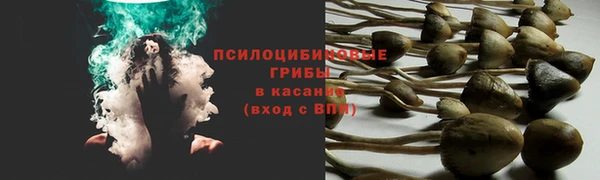 jwh Арсеньев